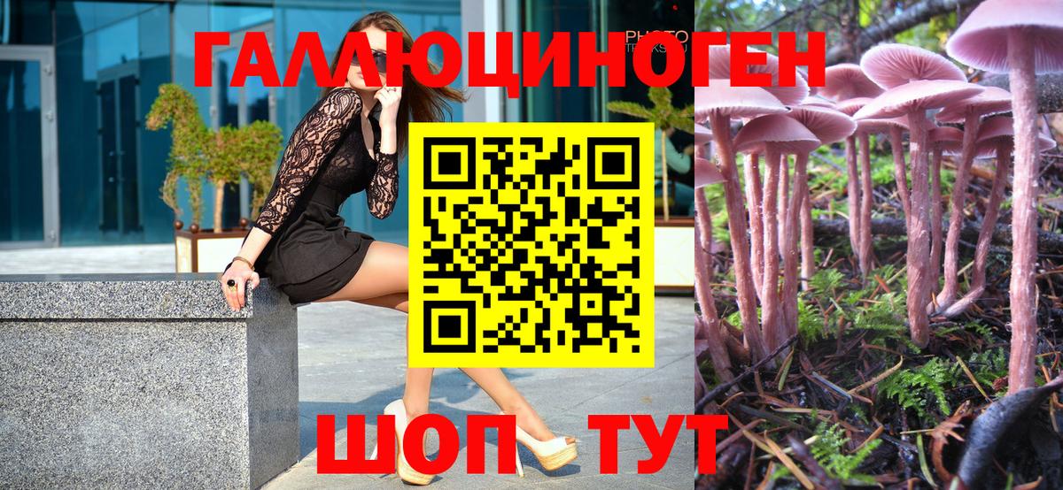 Псилоцибиновые грибы Magic Shrooms Волжский